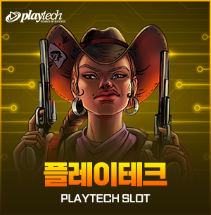 플레이테크
