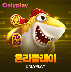 온리플레이